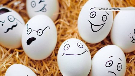 Всемирный день яйца