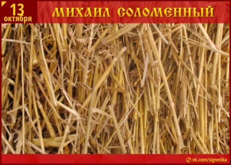 Михаил соломенный 13 октября