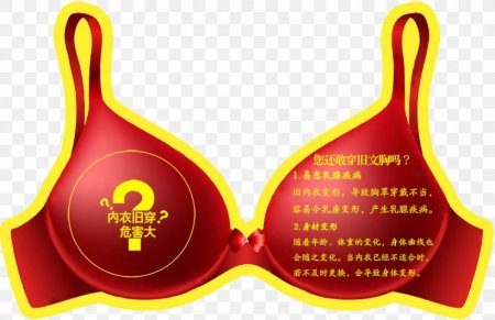 Международный день бюстгальтера