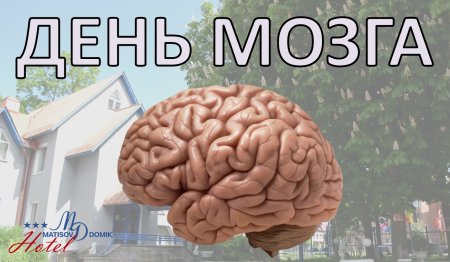 День мозга