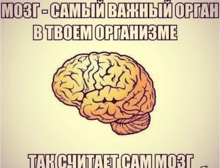Мозг прикол