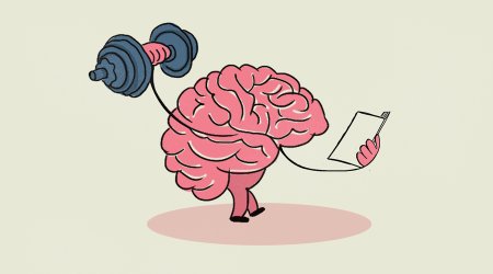 Мозг развивается