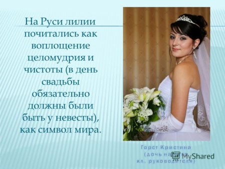 День целомудрия