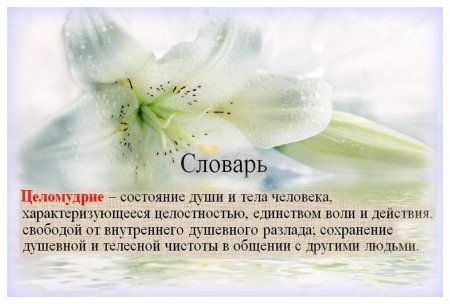 Стихи про целомудрие