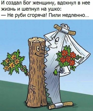 Деревянная свадьба прикол