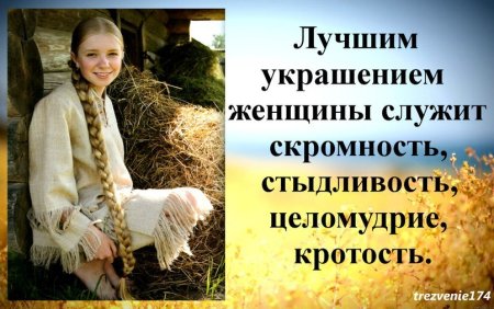 Целомудрие скромность