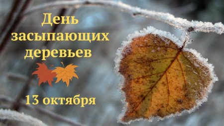 День засыпающих деревьев праздник