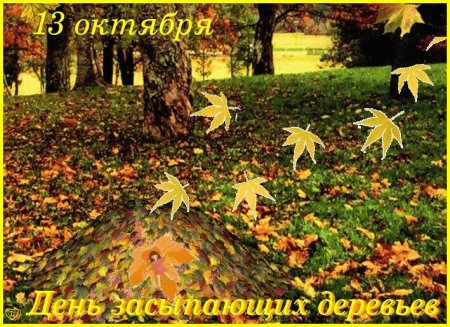 День засыпающих деревьев