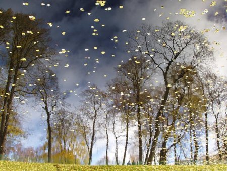 Листопад поздней осенью