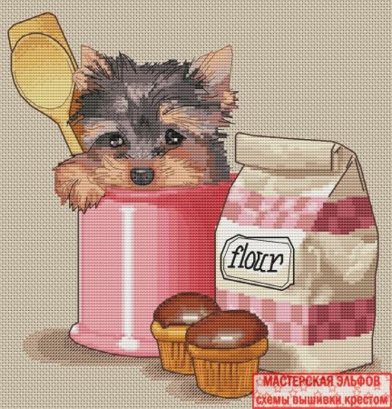 Йоркширский авторская схема