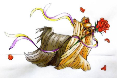 Рисунок Йорк с днем рождения