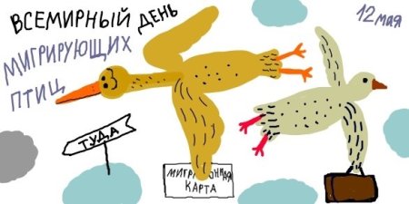 12 Октября Всемирный день мигрирующих птиц