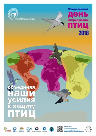 Всемирный день мигрирующих птиц 2021