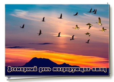 Всемирный день мигрирующих птиц (World migratory Bird Day)