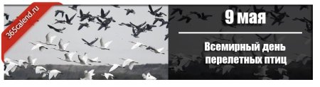 Всемирный день перелетных птиц 12 октября