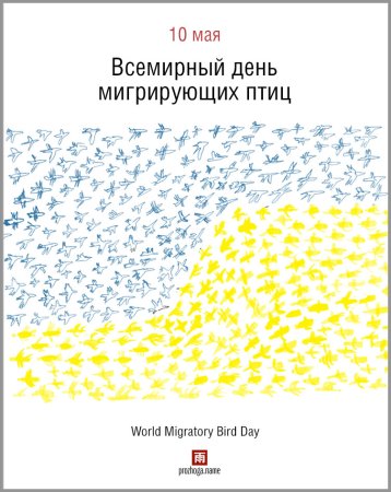 Всемирный день мигрирующих птиц (World migratory Bird Day)