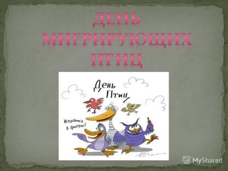 Всемирный день перелетных птиц