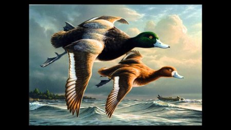 День улетающих птиц 20 сентября