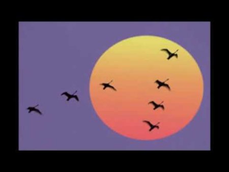 14 Мая день мигрирующих птиц