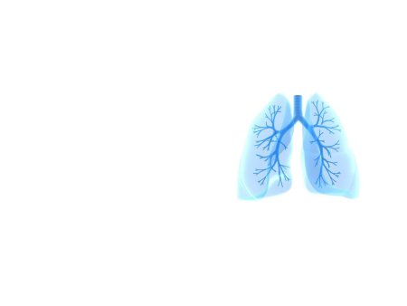 Всемирный день спирометрии и день легочного здоровья