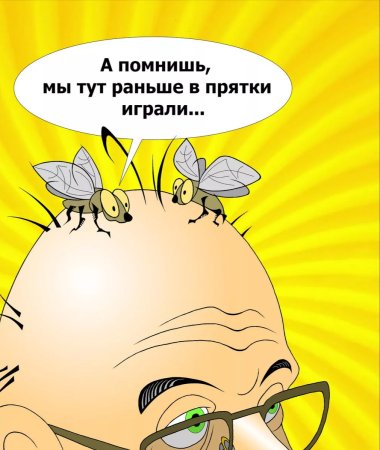 Шутки про лысых