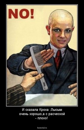 Приколы про лысого мудичну