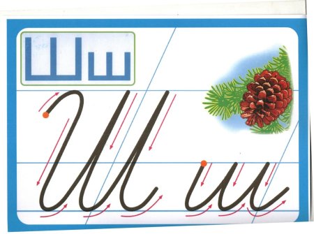 Буква ш прописная