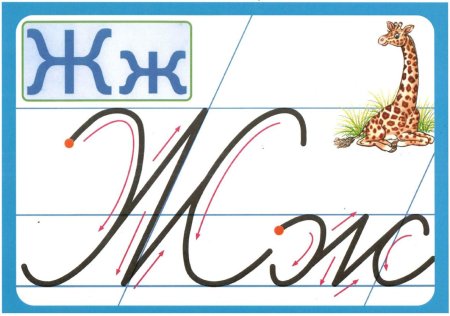 Буква ж прописная и строчная