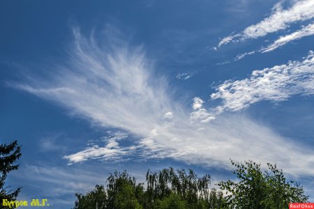 День плетения облаков