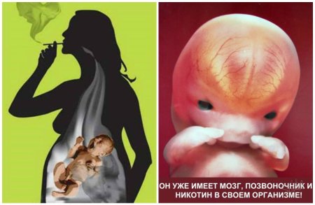 Влияние табакокурения на эмбрион
