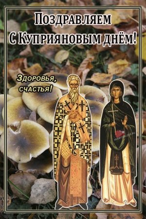 День Куприяна и Устиньи открытки