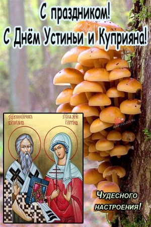 15 Октября Куприян и Устинья картинки