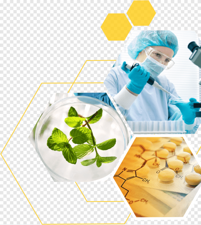 Биологические исследования