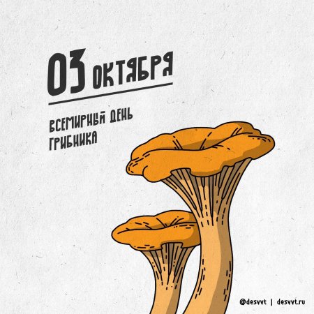 Всемирный день грибника