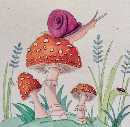 Мухомор акварель Сюзан Веллер