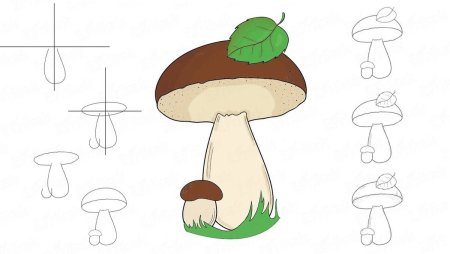 Рисунки грибов карандашом
