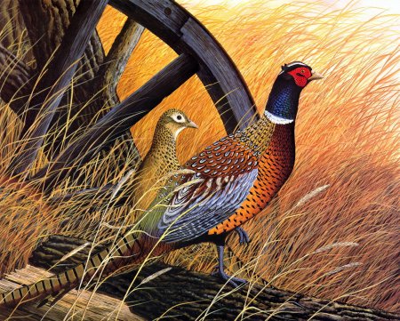 Моне фазаны