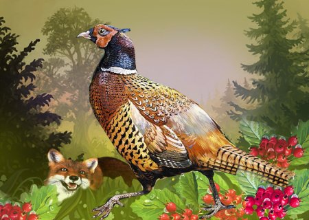 Сказочный фазан