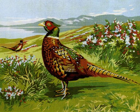 Птицы фазаны вышивка крестом