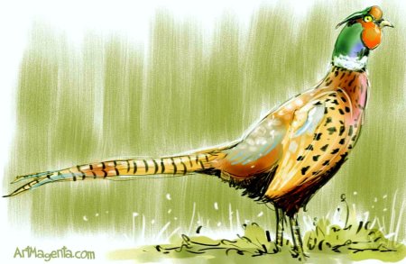 Фазан акварелью