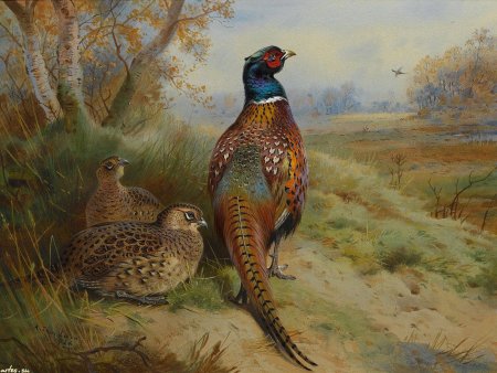 Арчибальд Торберн