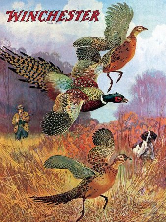 Охота на фазана картина