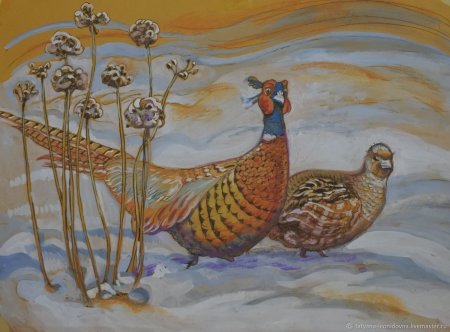 Фазан пастелью