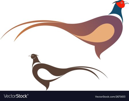 Фазан стилизация