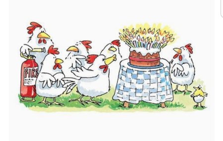 С др курица