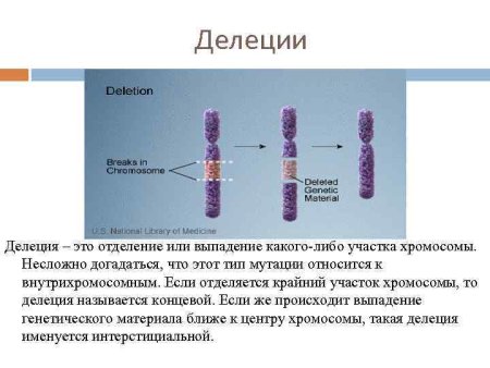 Заболевания при дупликации хромосом