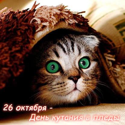 День кутания в пледы 26 октября