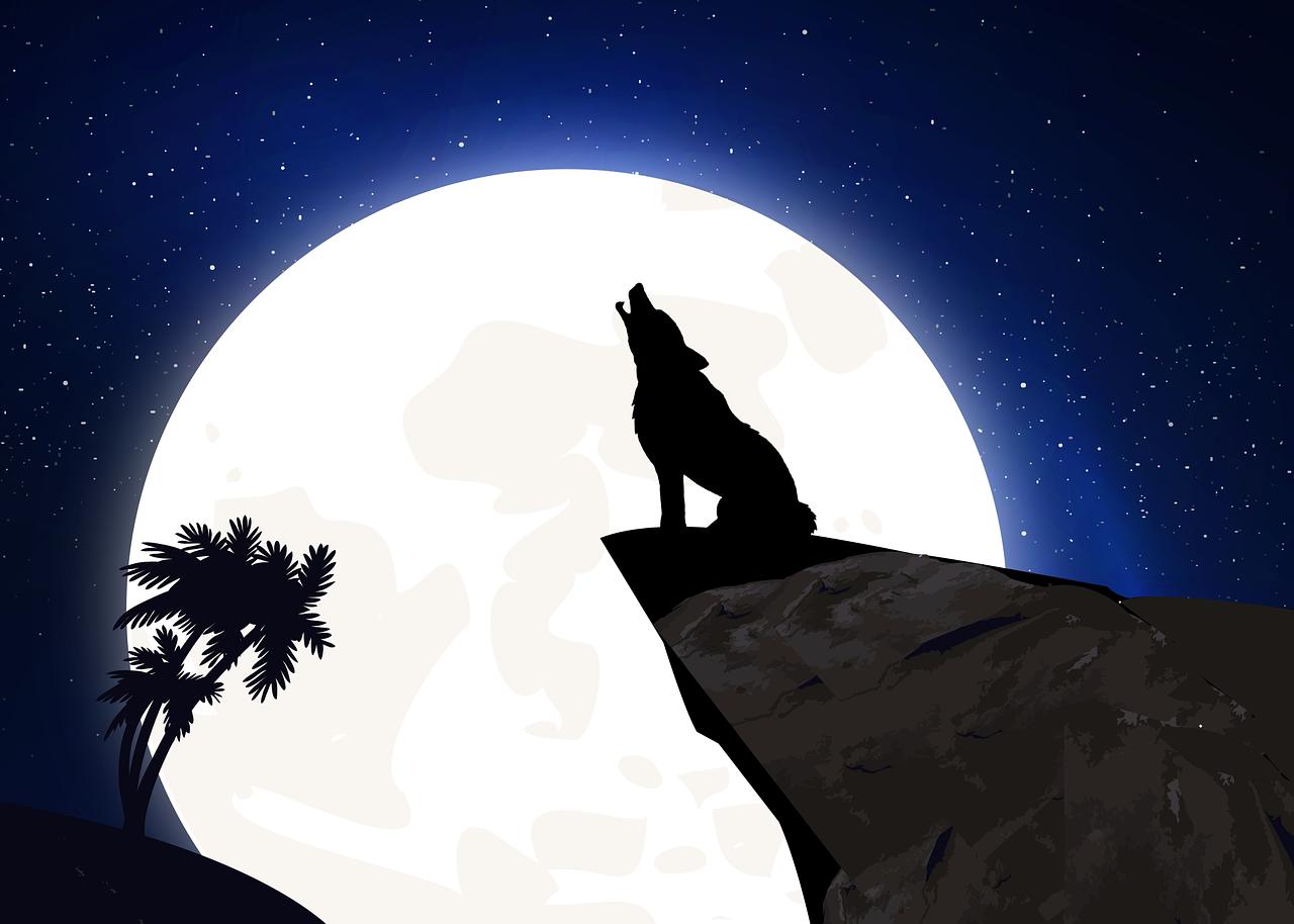 Вой собак на луну. Волк воет на луну. Волк и Луна. Собака на фоне Луны. Воющий волк.