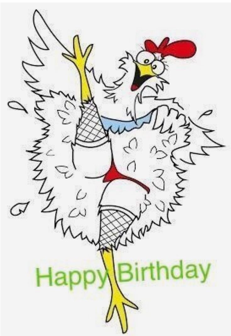 С днем рождения курица. С днем рождения петух. Рисунки на др курица. С днём рождения Курочка моя.