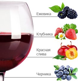 Тинта Рориш сорт винограда